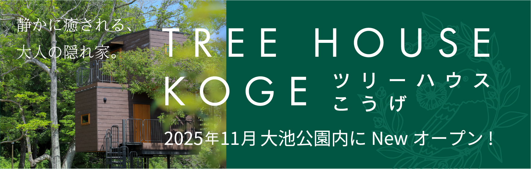 ツリーハウスKOGE